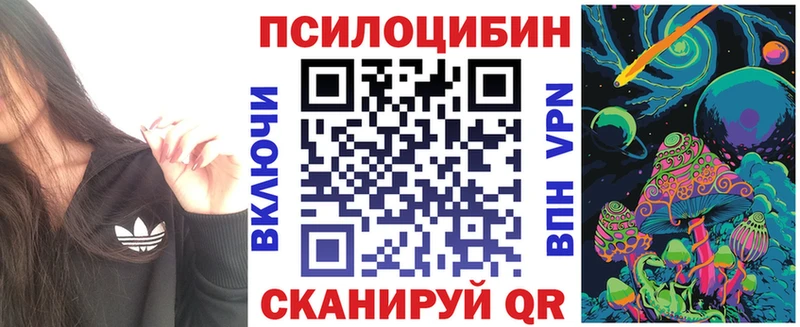 Псилоцибиновые грибы Cubensis  Балтийск 